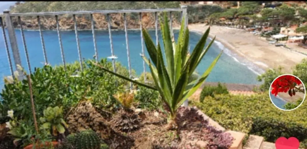 Rosa Dei Venti Apartment Capoliveri   Capoliveri (Isola d'Elba)