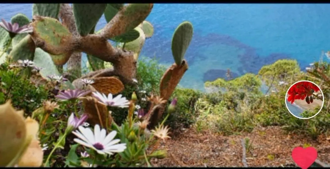 Apartament Rosa Dei Venti Capoliveri  0*, Capoliveri (Isola d'Elba) Włochy