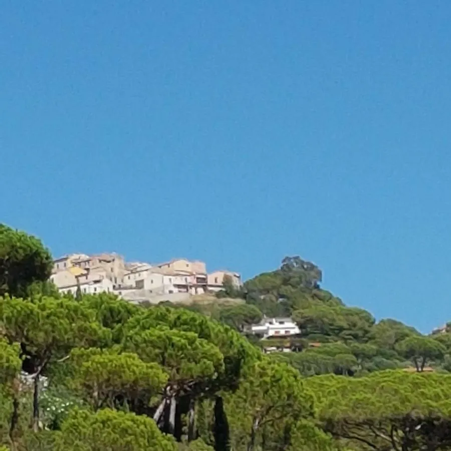 Rosa Dei Venti Apartment Capoliveri